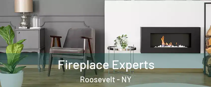  Fireplace Experts Roosevelt - NY